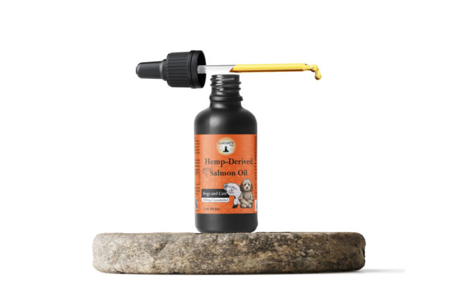 healthy-skin-and-shiny-fur-try-hemp-salmon-oil