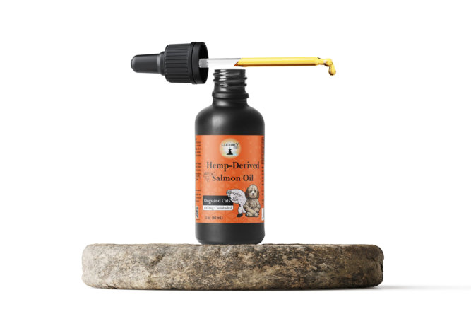 the-benefits-of-pet-cbd-oil